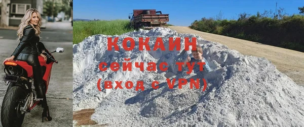 трава Богородицк