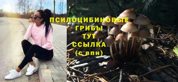 трава Богородицк
