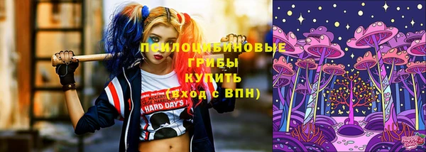 трава Богородицк