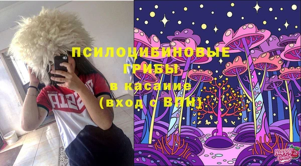 спиды Богородск