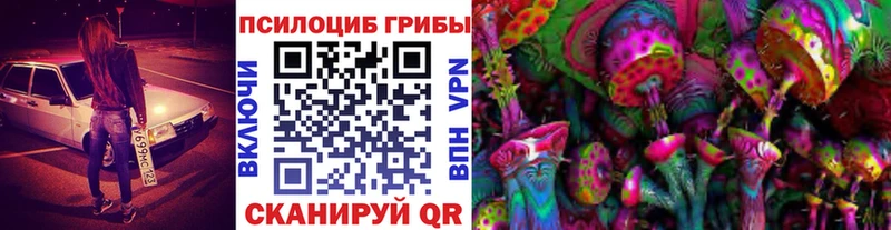 наркошоп  Балтийск  Псилоцибиновые грибы MAGIC MUSHROOMS 